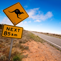 Kangaroo sign on the road